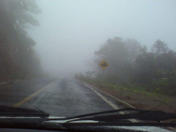 Conducción con niebla espesa