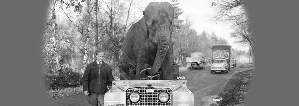 El elefante Kam conduciendo un Land Rover